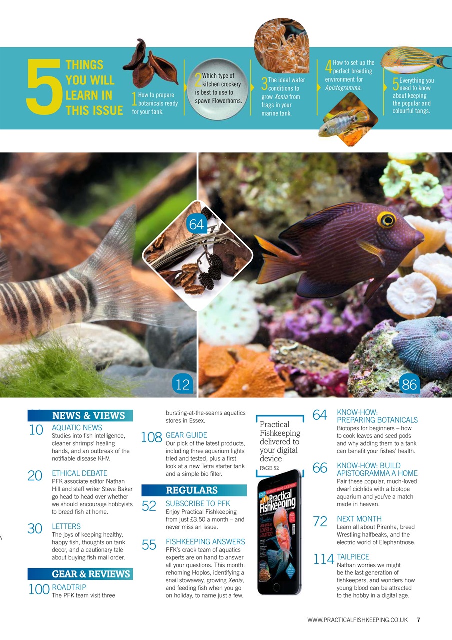 Practical Fishkeeping Preview Pages