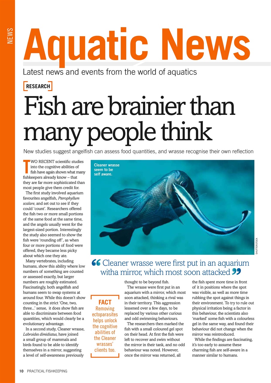 Practical Fishkeeping Preview Pages