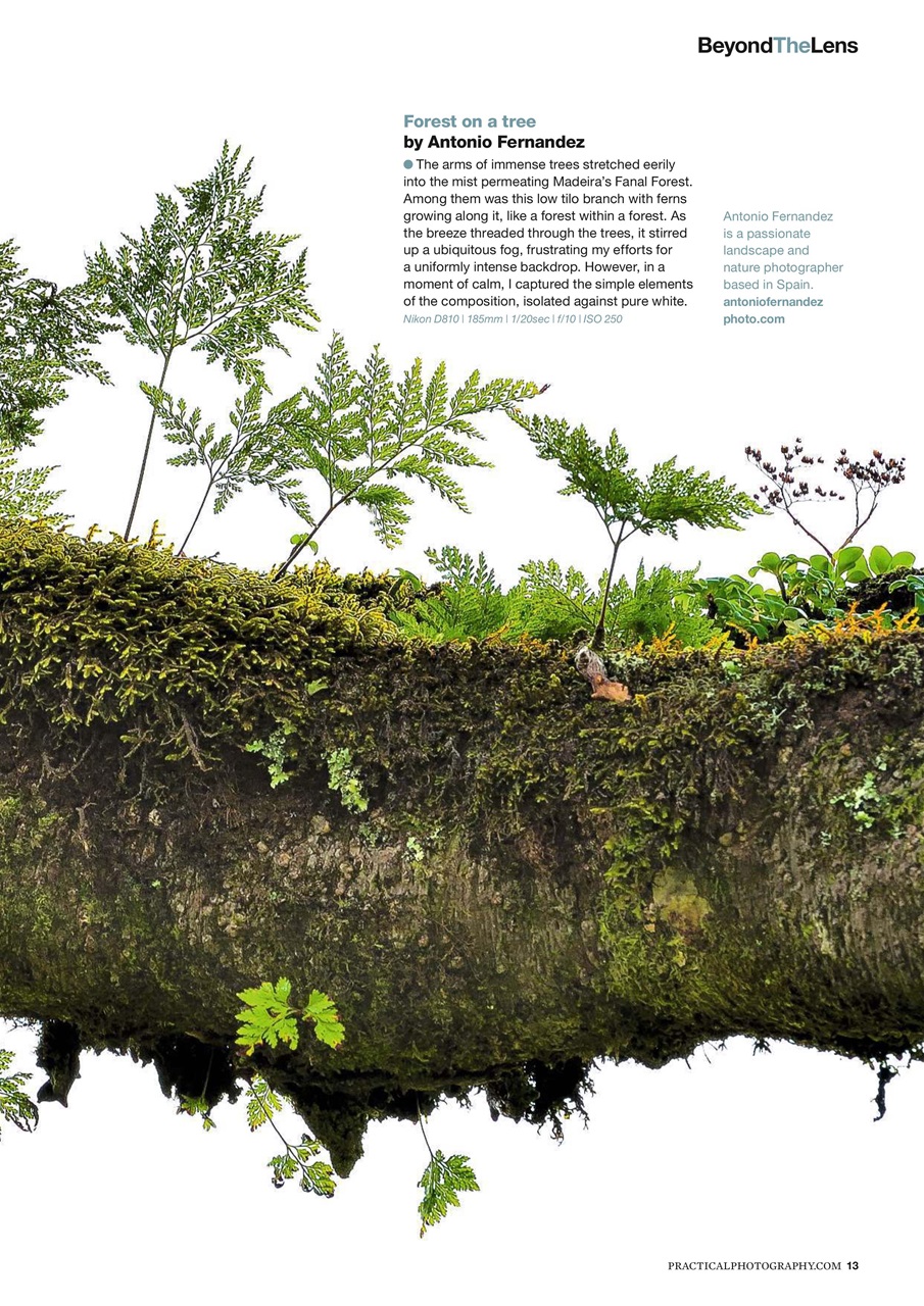 Practical Photography Preview Pages