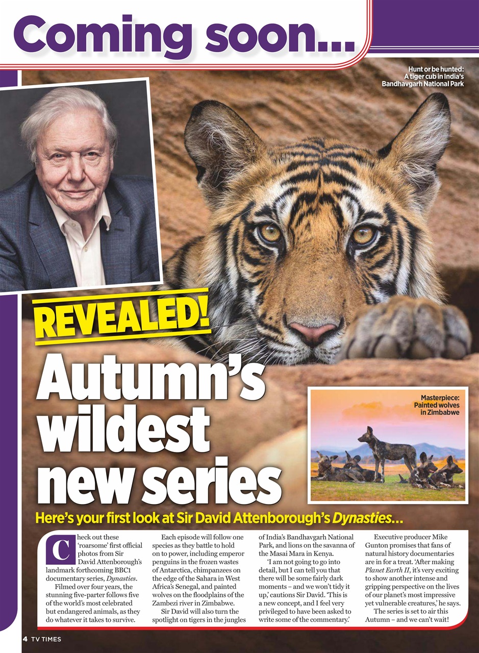 TV Times Preview Pages