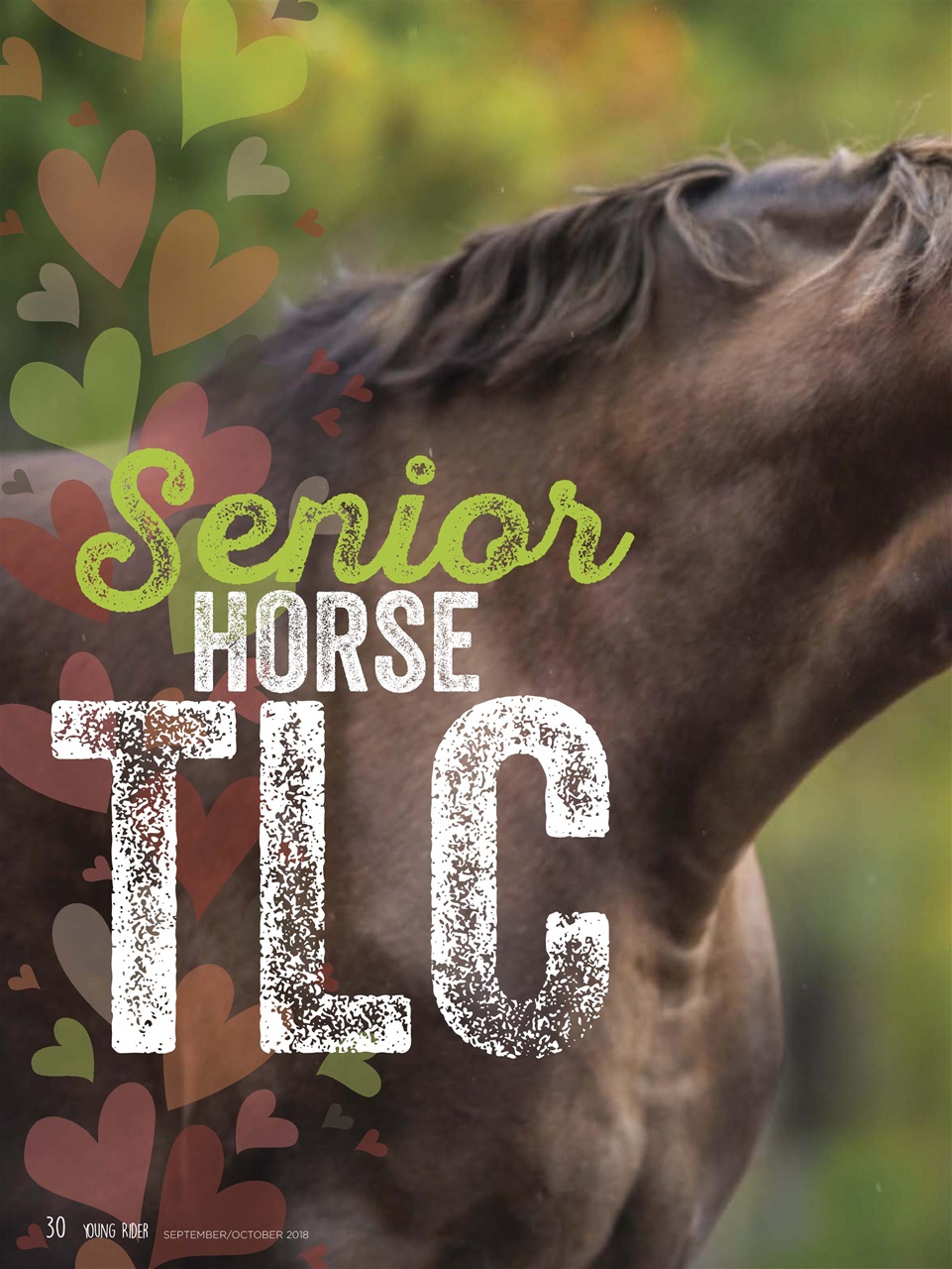 Young Rider Magazine Preview Pages