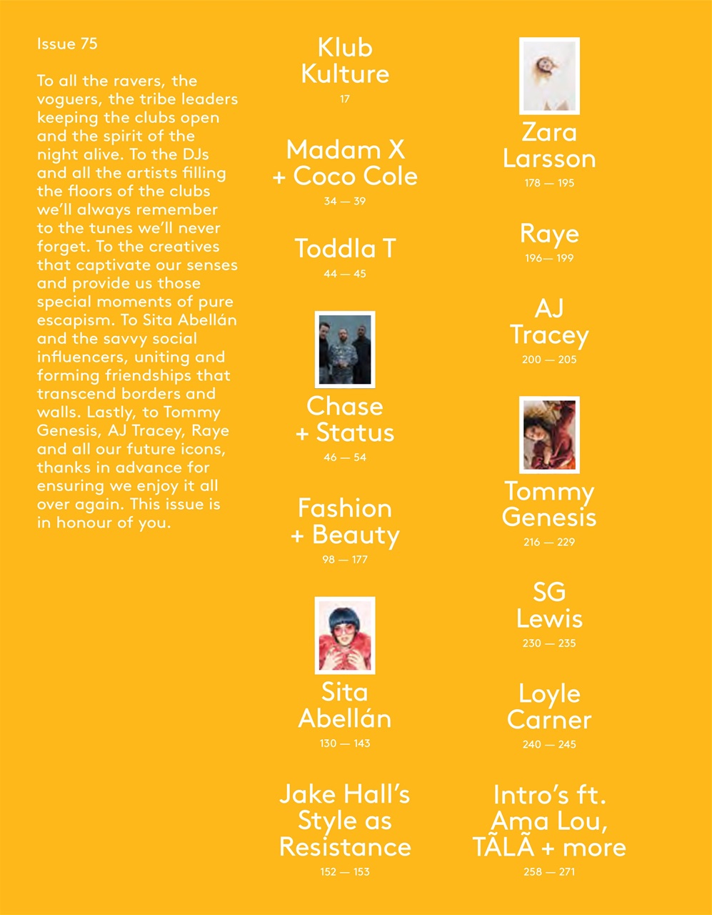 Notion Magazine Preview Pages