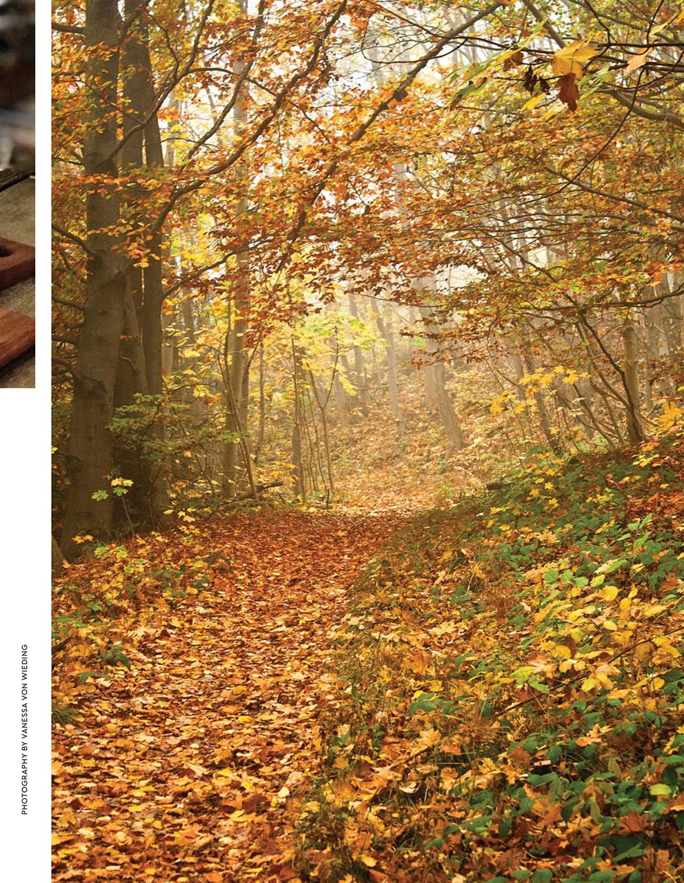 Where Women Cook Preview Pages