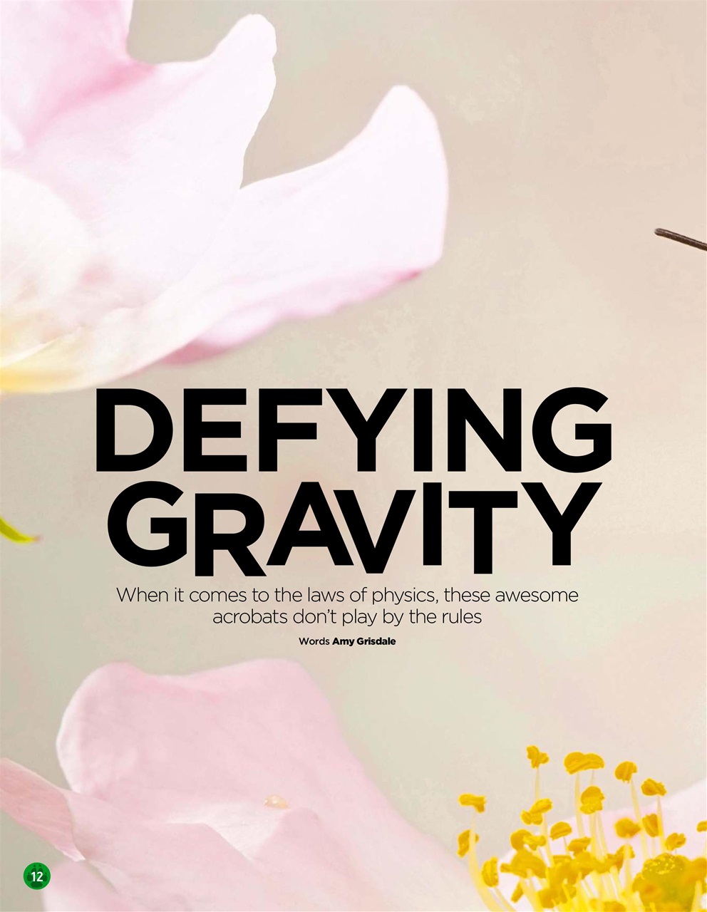 World of Animals Preview Pages