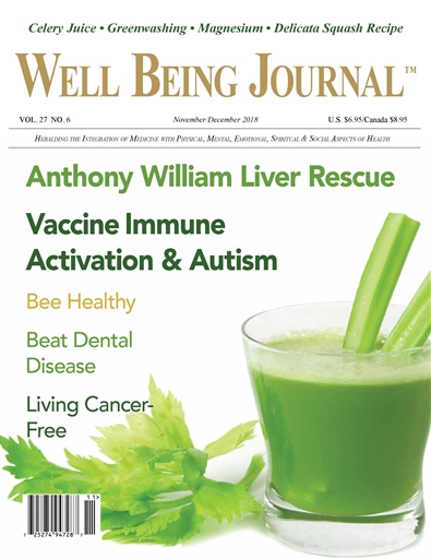 Well Being Journal issue 