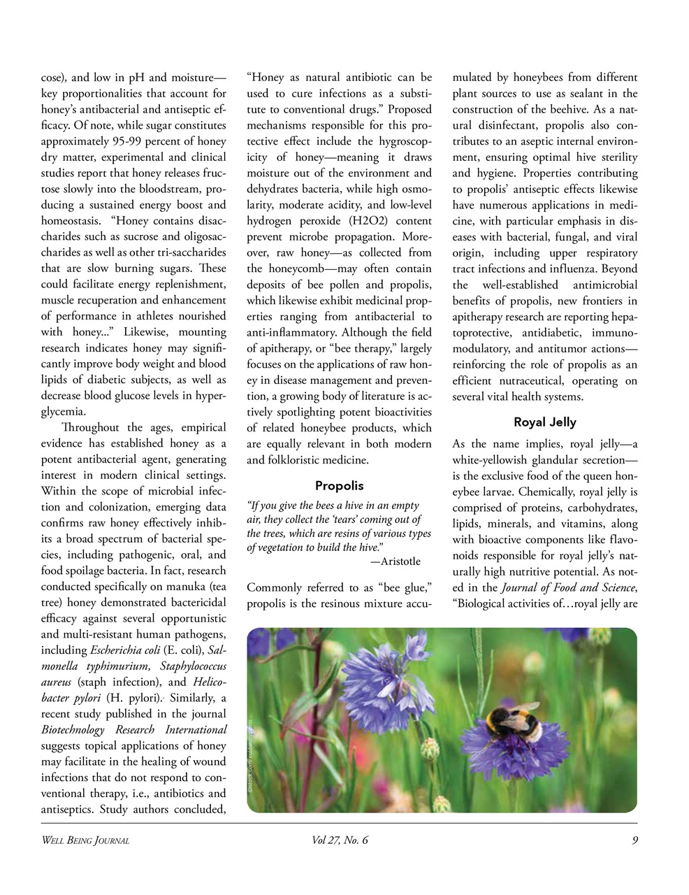Well Being Journal Preview Pages