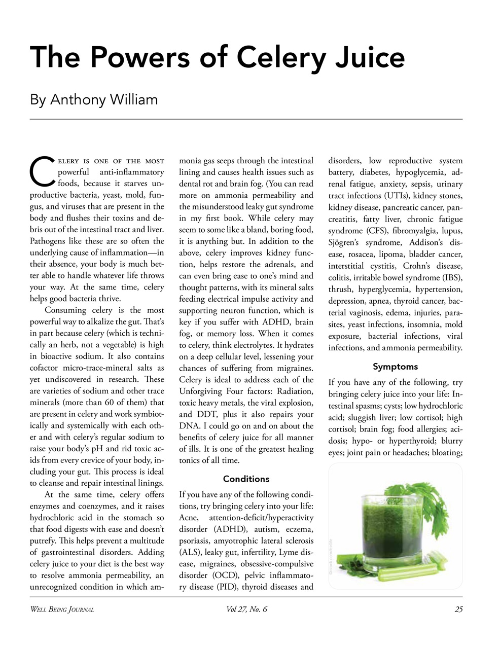 Well Being Journal Preview Pages