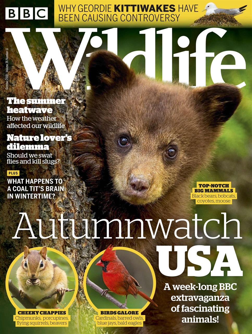 BBC Wildlife Magazine Preview Pages