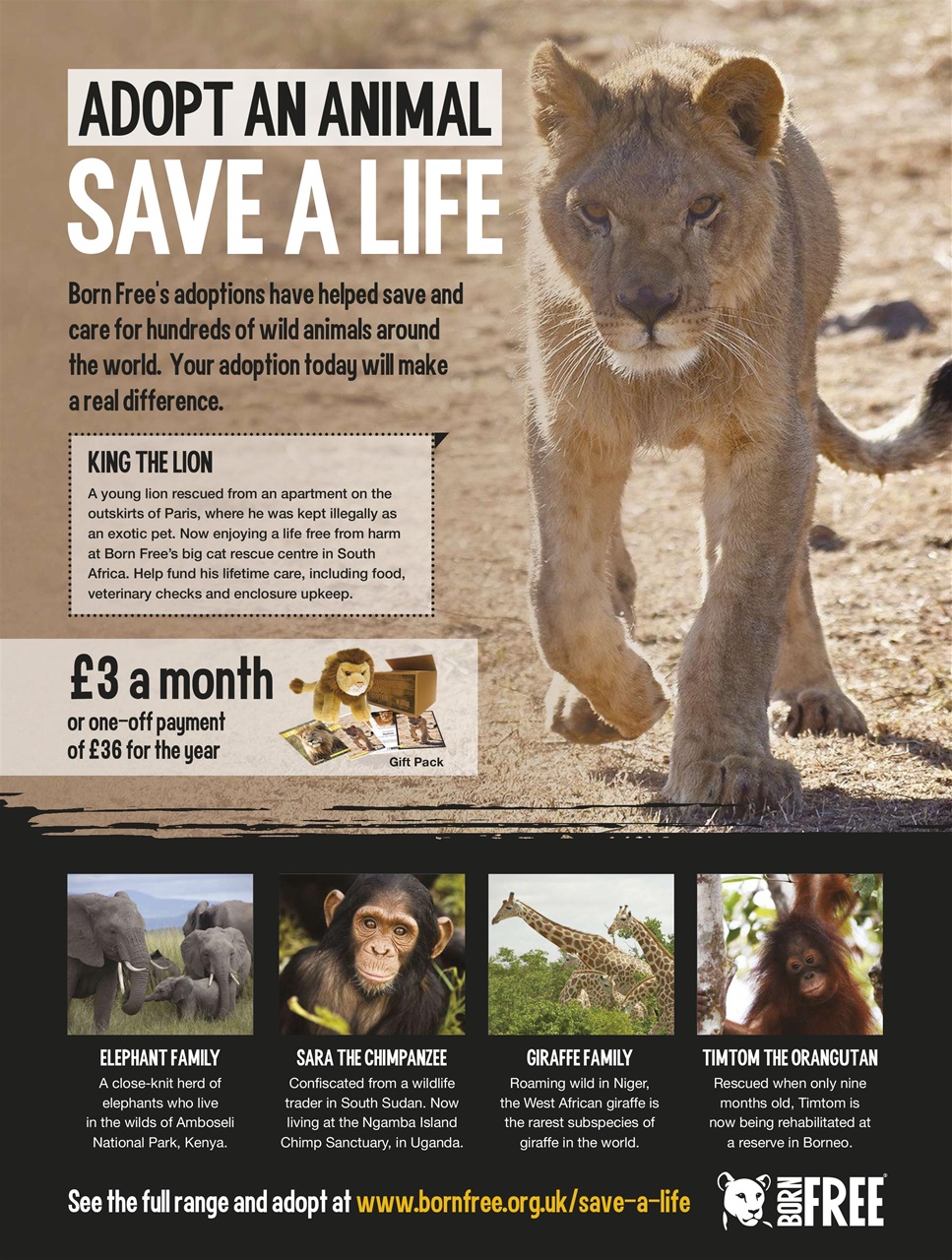 BBC Wildlife Magazine Preview Pages