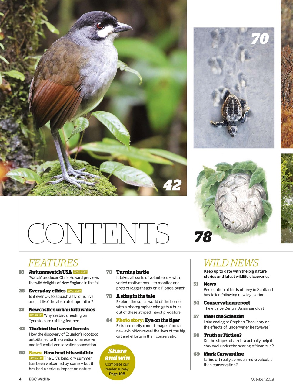 BBC Wildlife Magazine Preview Pages