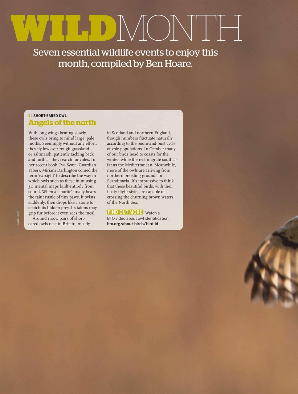 BBC Wildlife Magazine Preview Pages