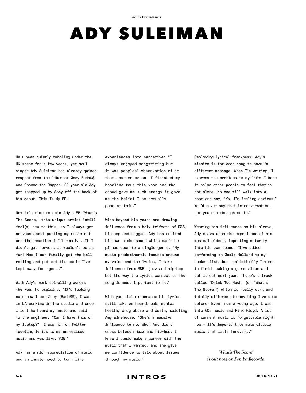 Notion Magazine Preview Pages