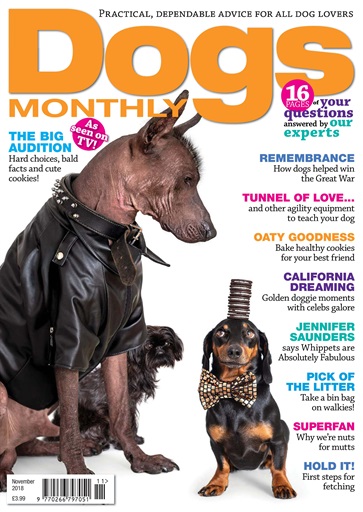 Dogs Monthly issue 