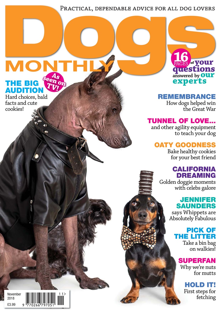 Dogs Monthly Preview Pages