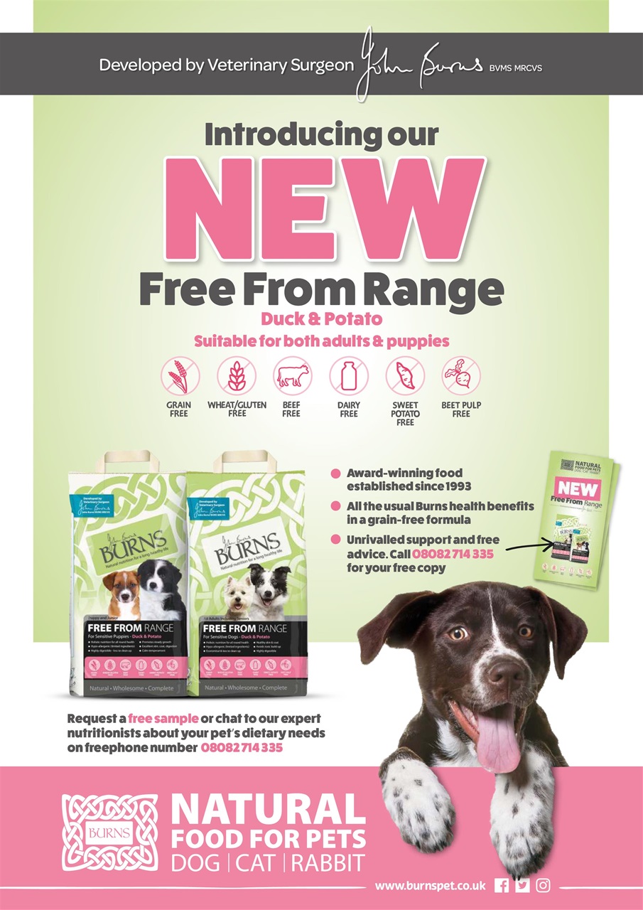 Dogs Monthly Preview Pages