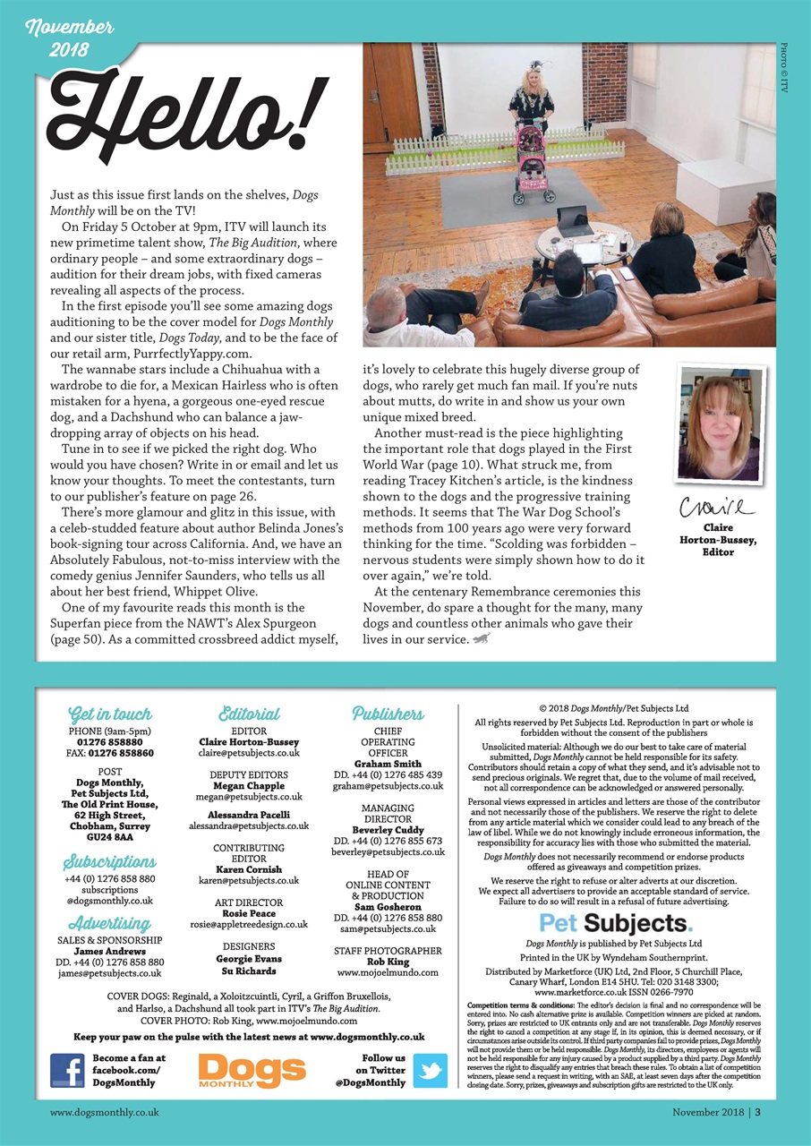 Dogs Monthly Preview Pages