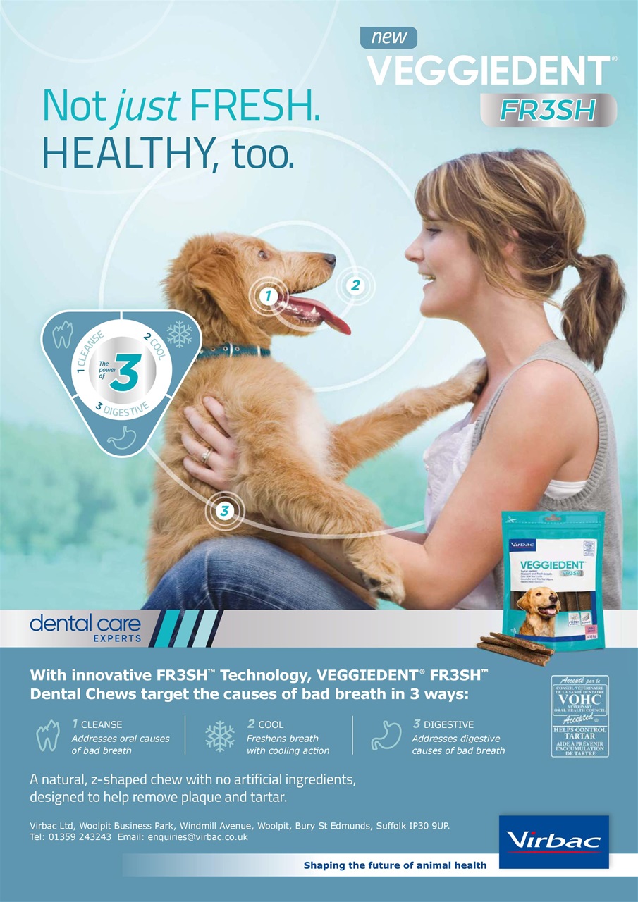 Dogs Monthly Preview Pages