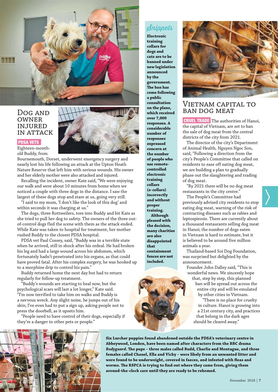 Dogs Monthly Preview Pages