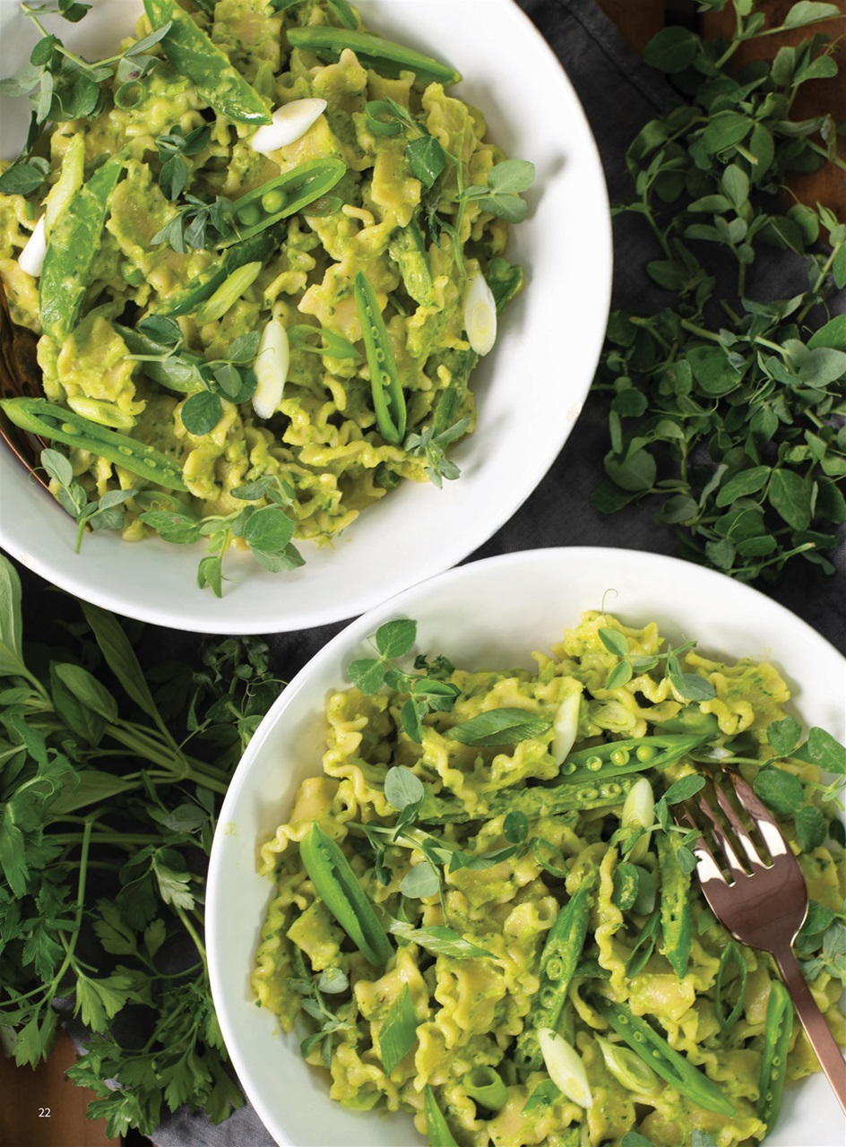 PlantBased Preview Pages