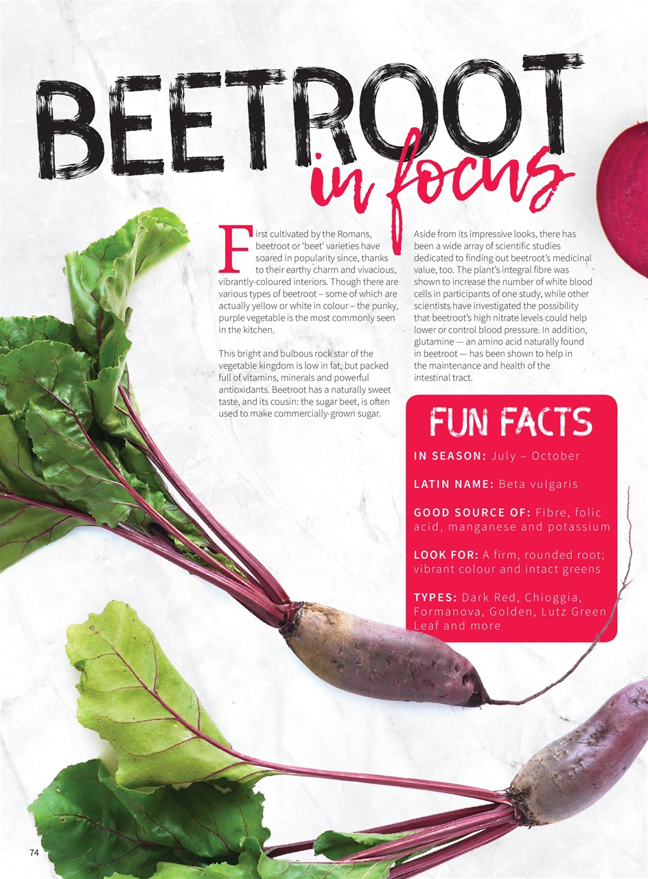 PlantBased Preview Pages