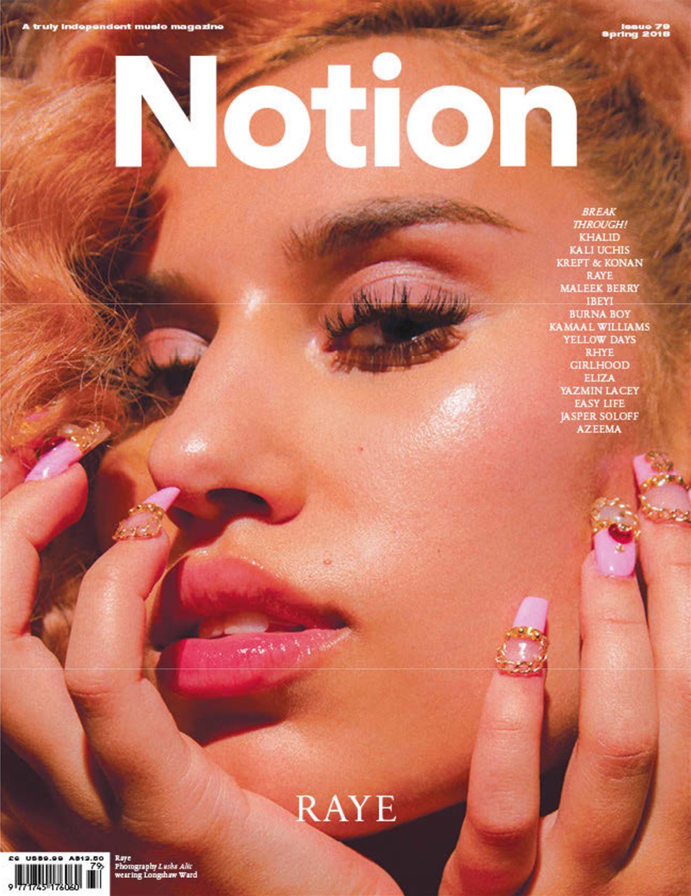 Notion Magazine Preview Pages