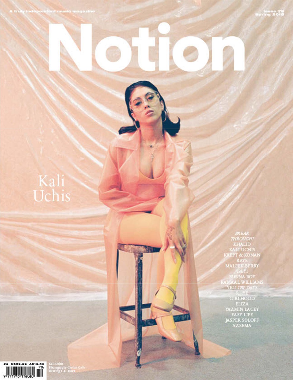 Notion Magazine Preview Pages