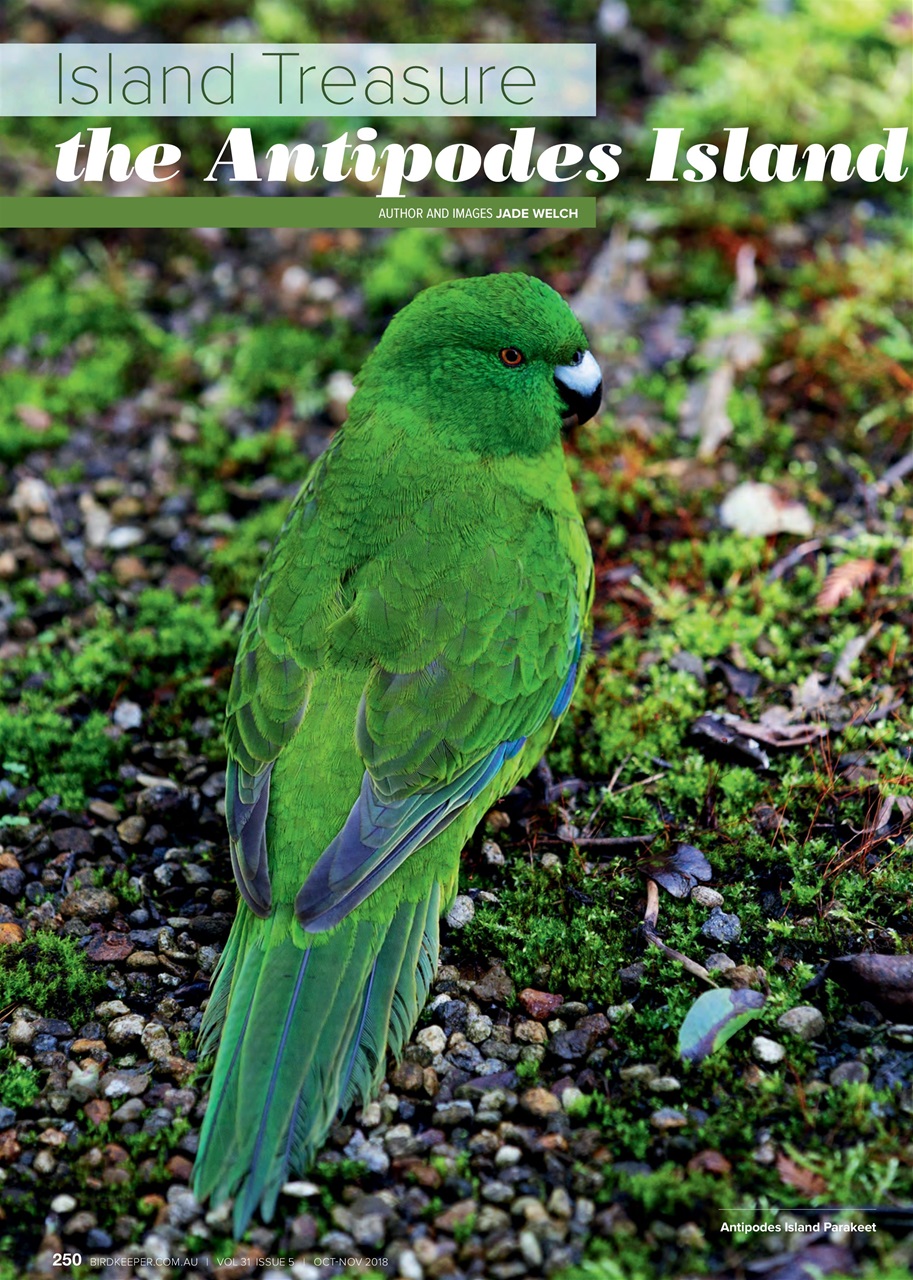 Australian Birdkeeper Magazine Preview Pages