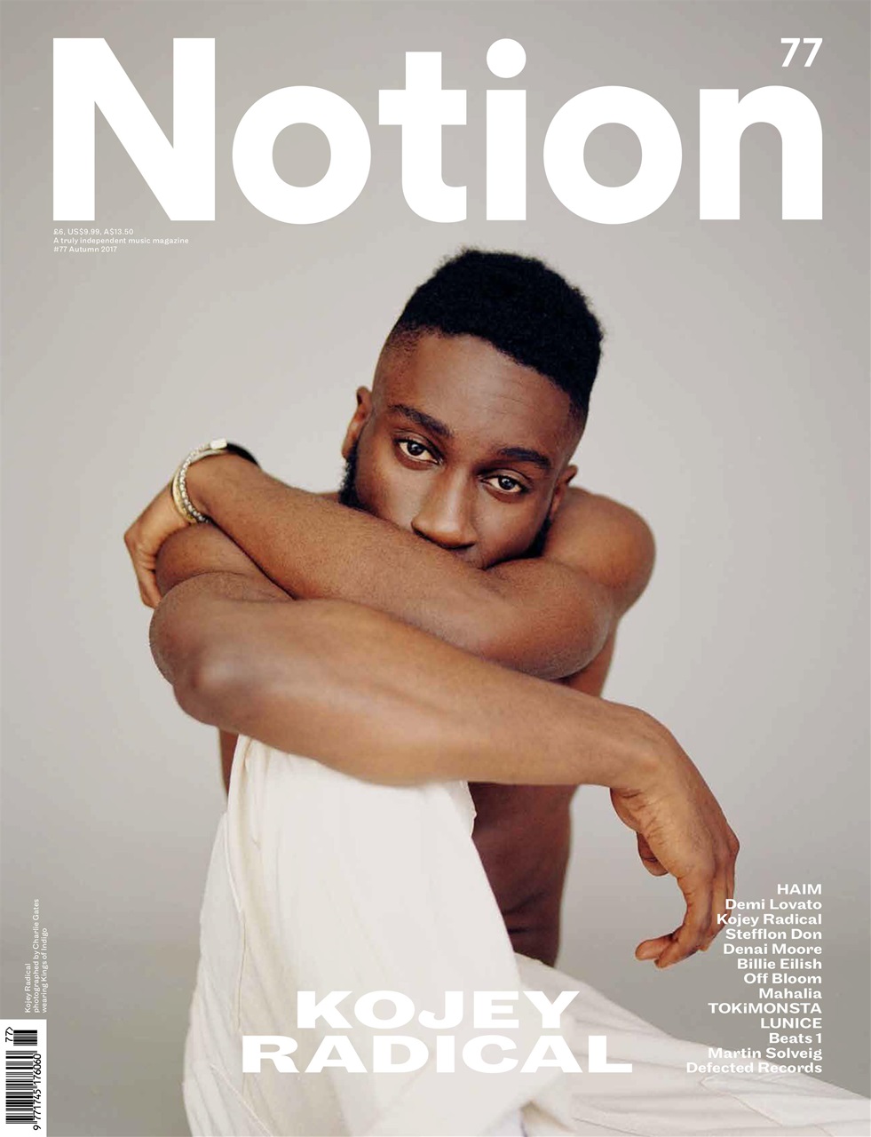 Notion Magazine Preview Pages