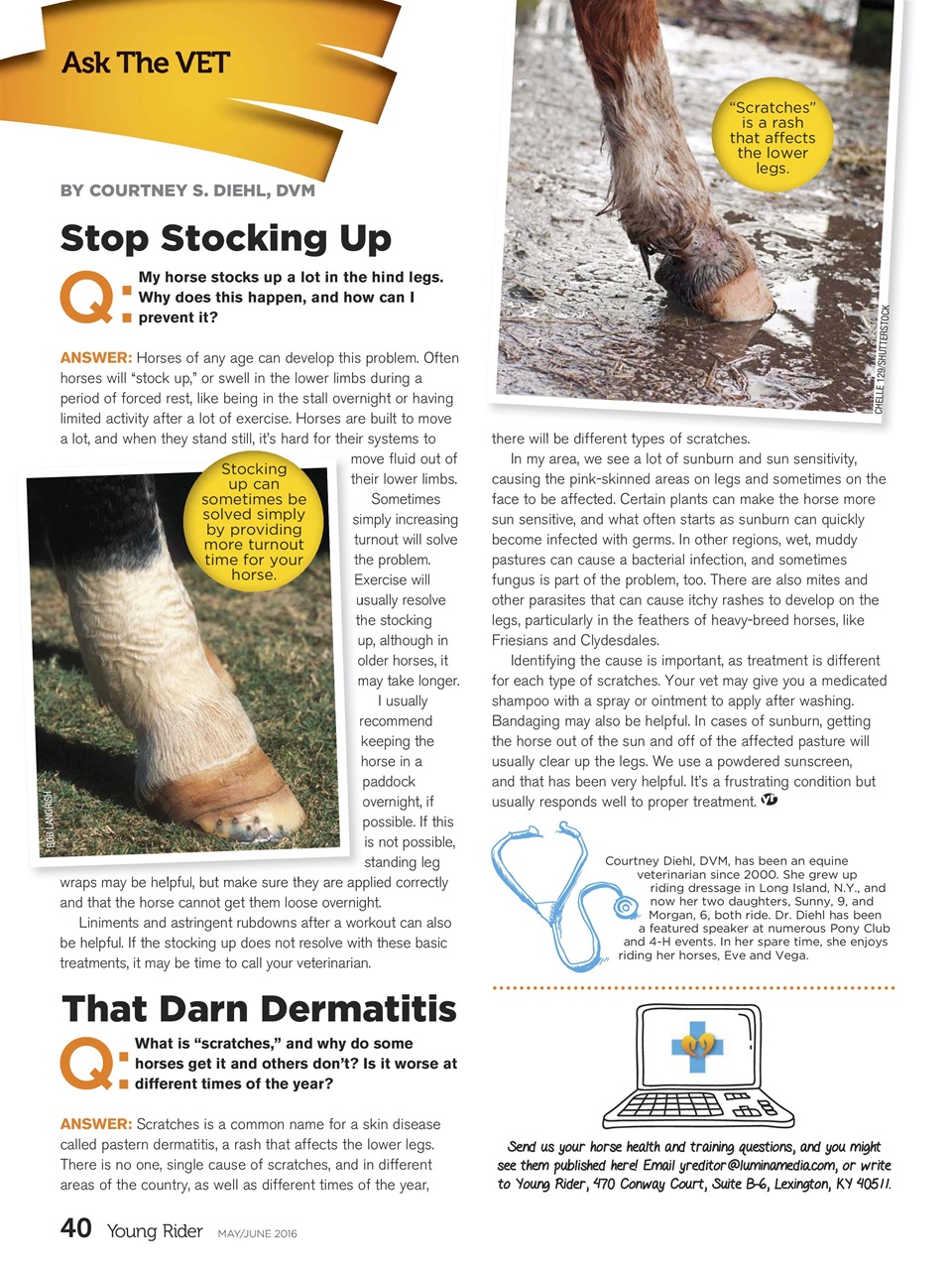 Young Rider Magazine Preview Pages