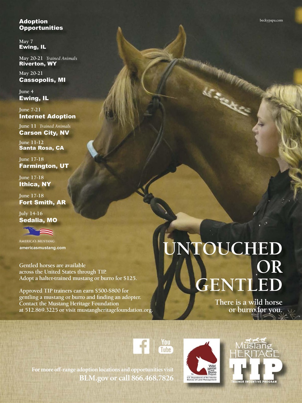 Young Rider Magazine Preview Pages