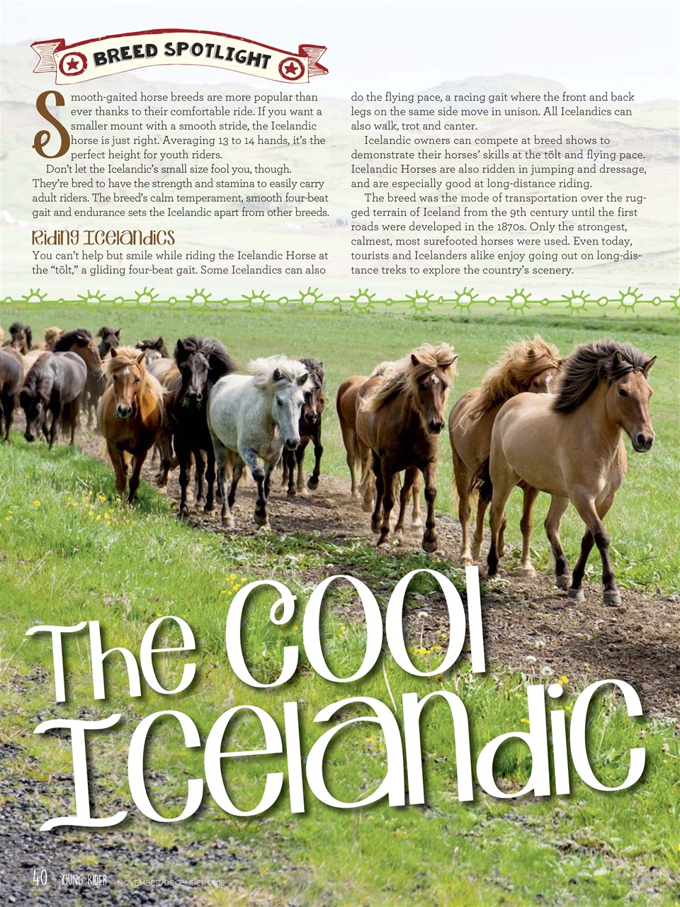 Young Rider Magazine Preview Pages