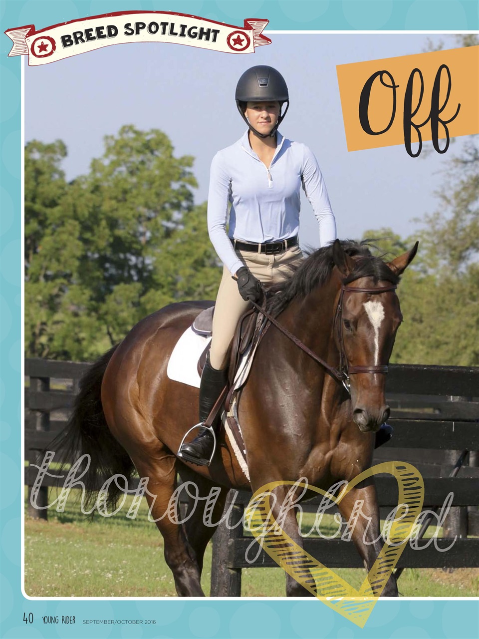 Young Rider Magazine Preview Pages