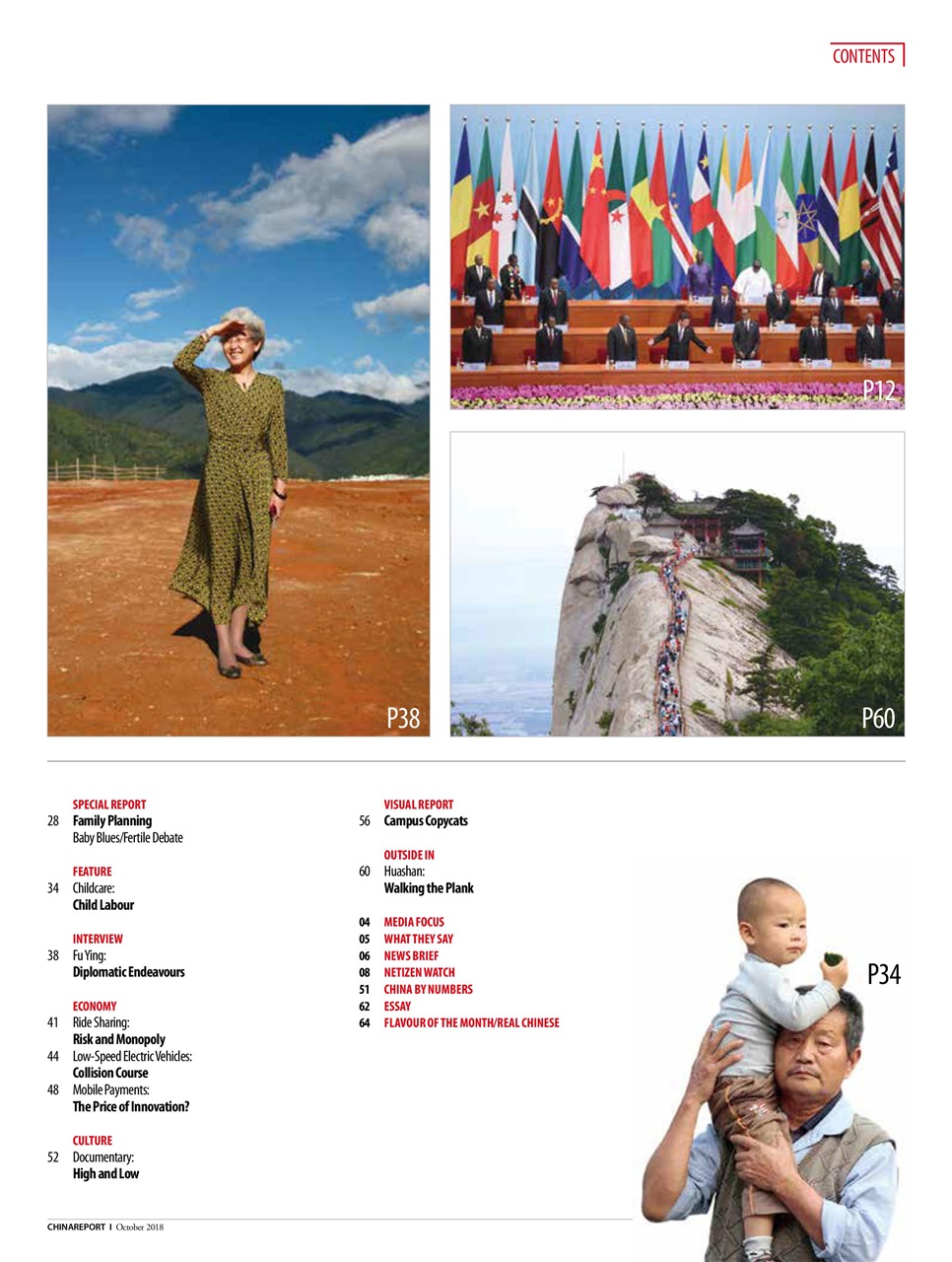 China Report Preview Pages