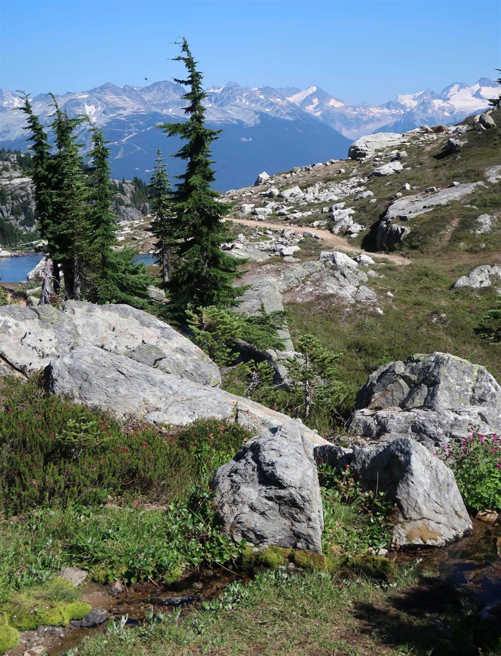 Singletrack Preview Pages