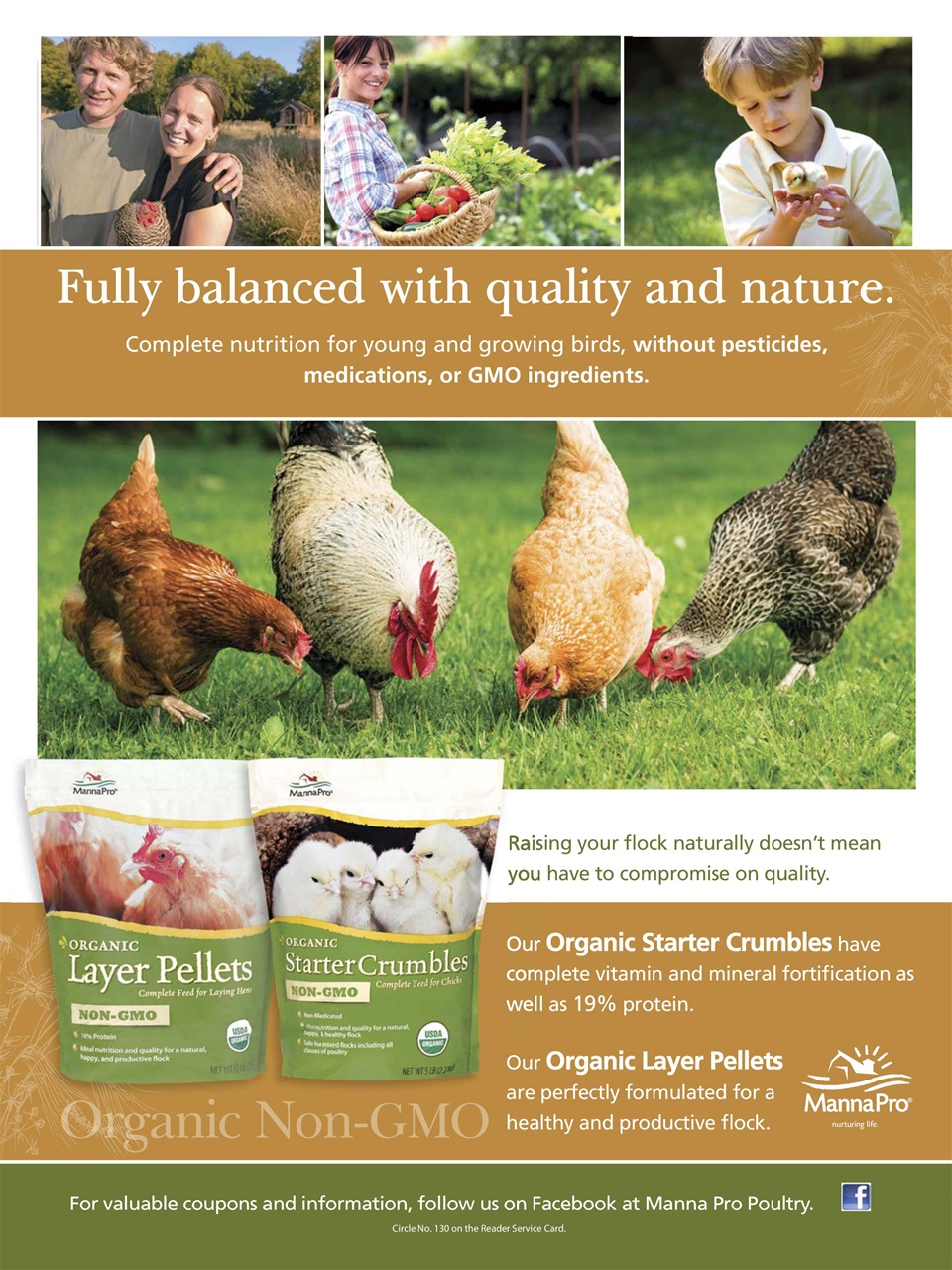 Chickens Magazine Preview Pages