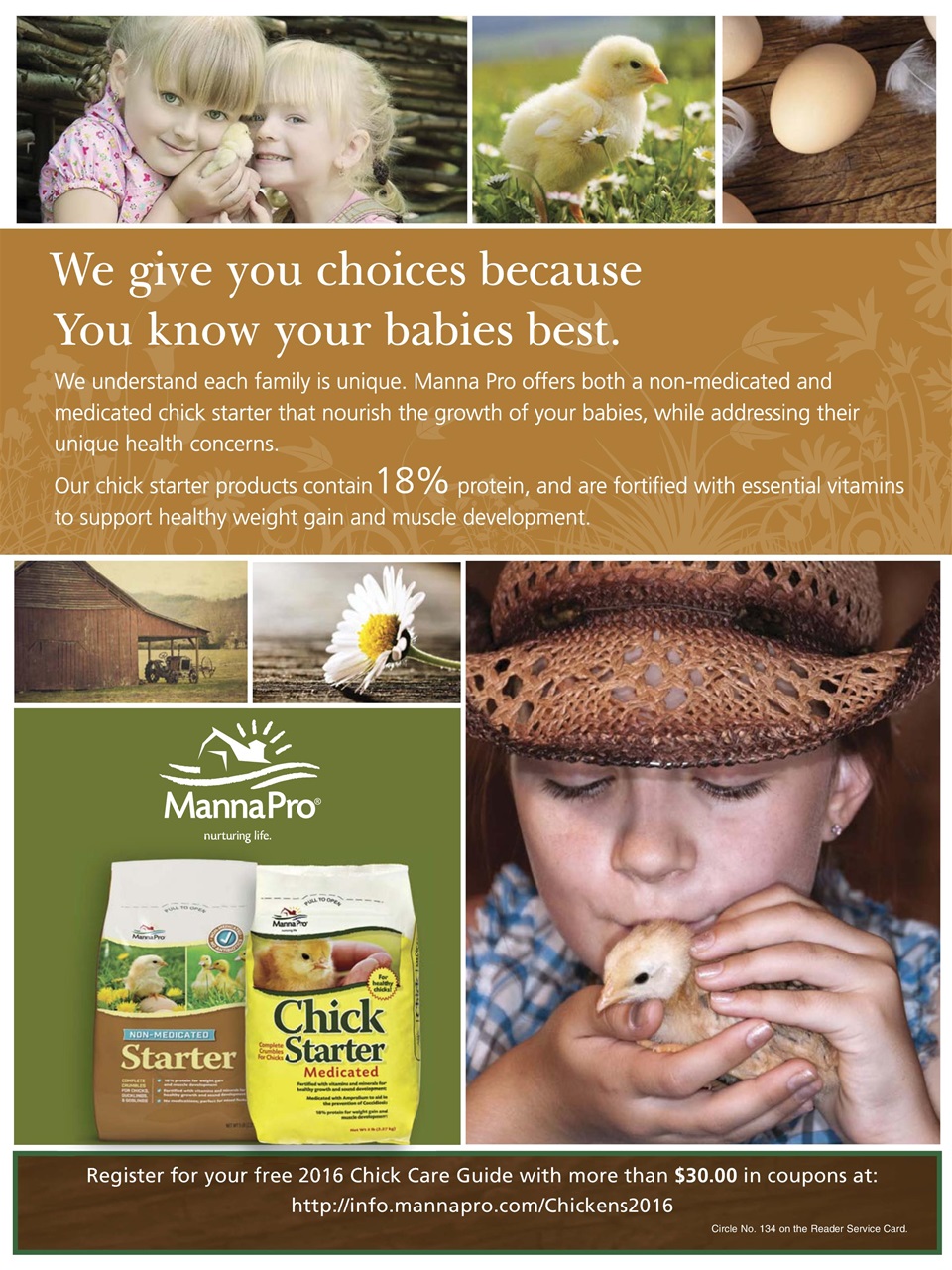 Chickens Magazine Preview Pages