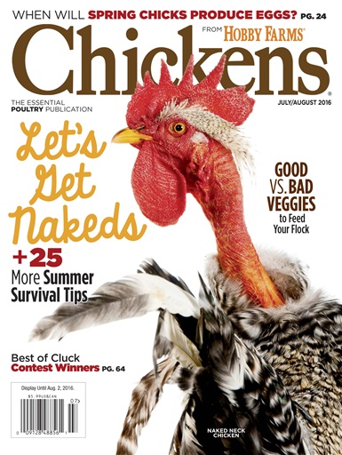 Chickens Magazine issue 