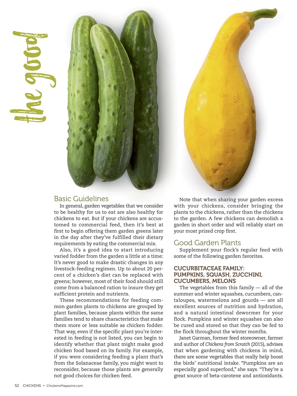 Chickens Magazine Preview Pages