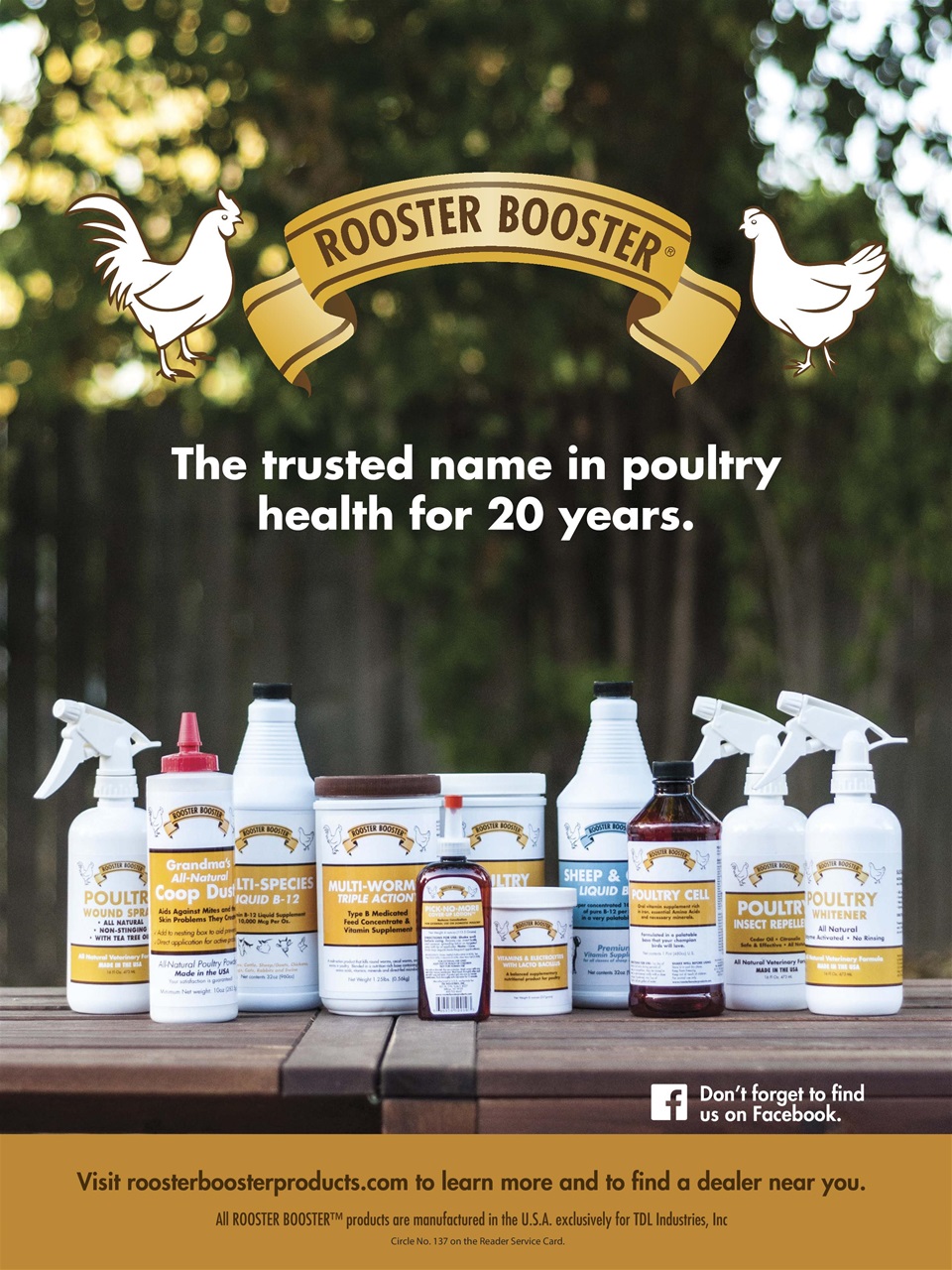 Chickens Magazine Preview Pages