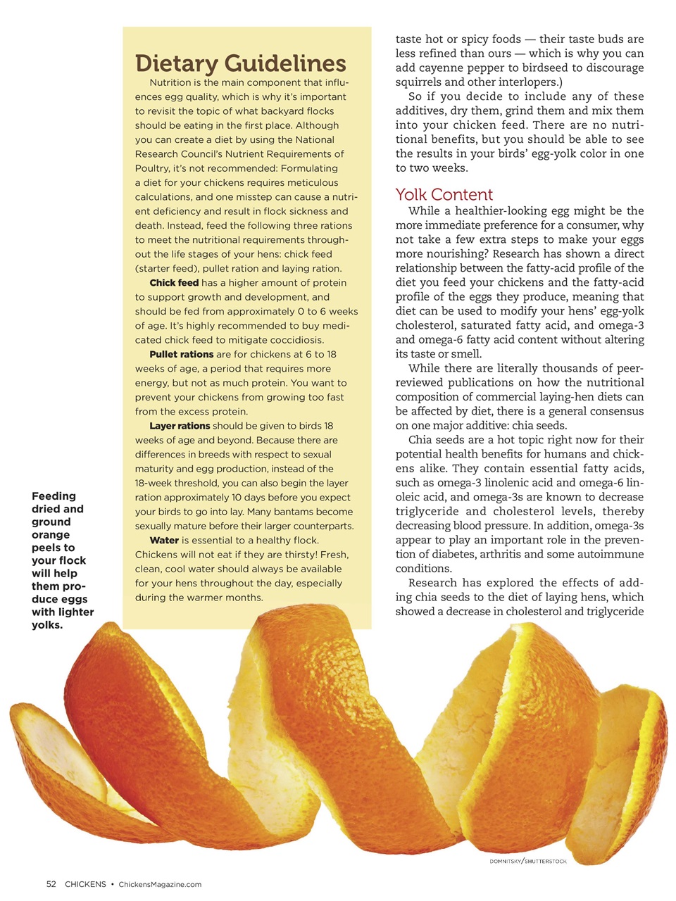 Chickens Magazine Preview Pages