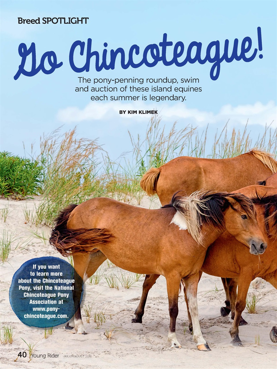 Young Rider Magazine Preview Pages