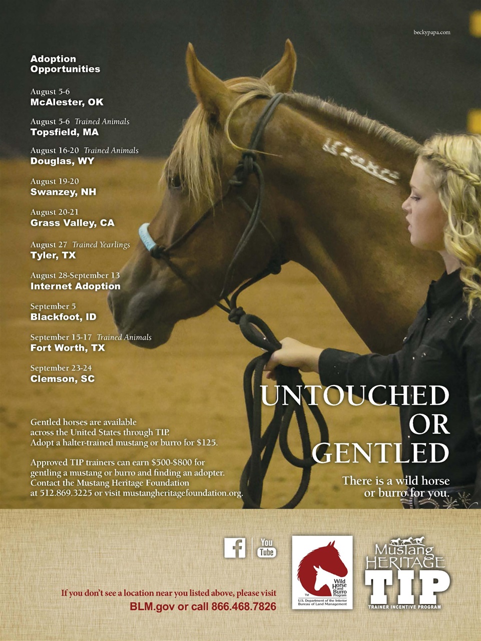 Young Rider Magazine Preview Pages