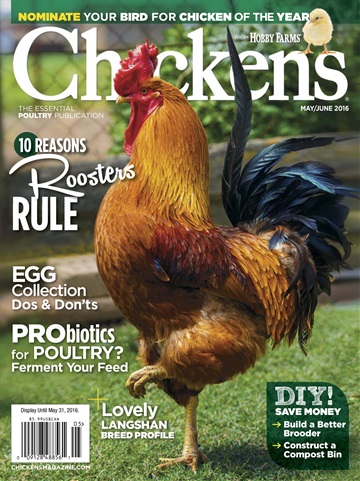 Chickens Magazine issue May/June16