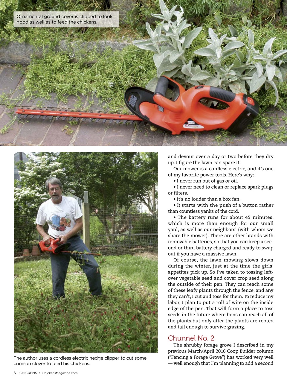 Chickens Magazine Preview Pages