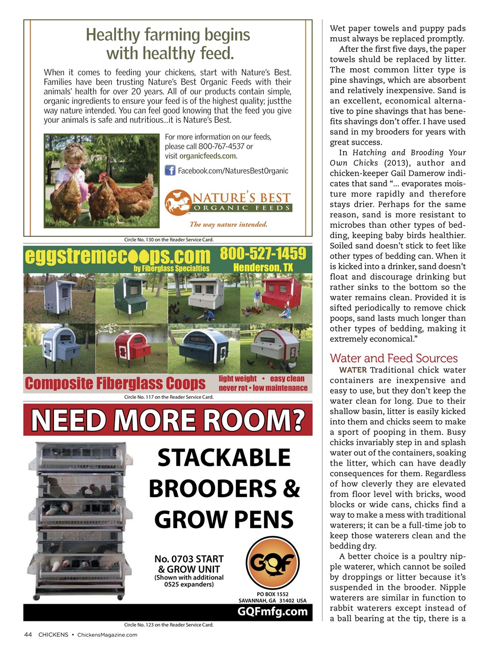 Chickens Magazine Preview Pages