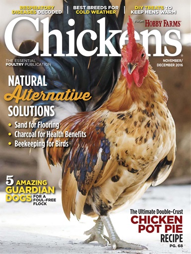 Chickens Magazine issue 