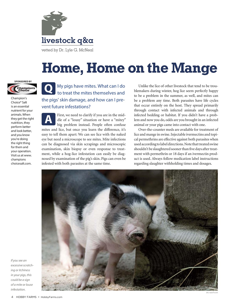 Hobby Farms Magazine Preview Pages