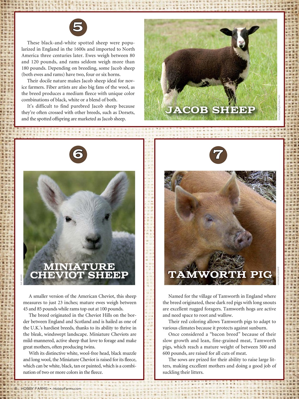 Hobby Farms Magazine Preview Pages