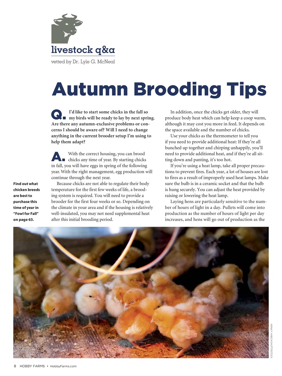 Hobby Farms Magazine Preview Pages