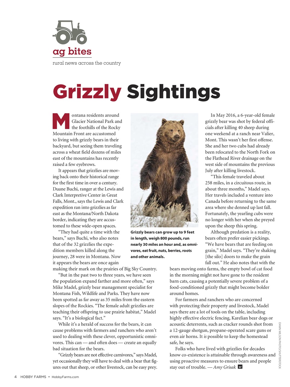 Hobby Farms Magazine Preview Pages